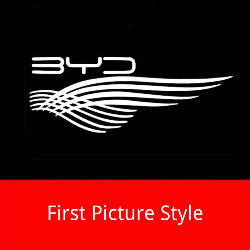 BYD Puddle Lights