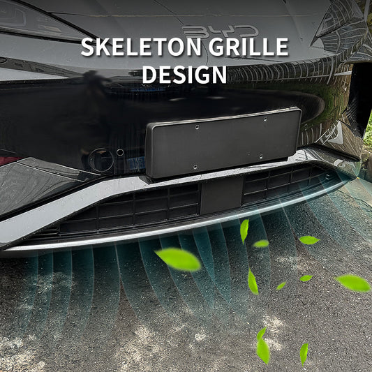 BYD Sealion 7 Grille Proof Net