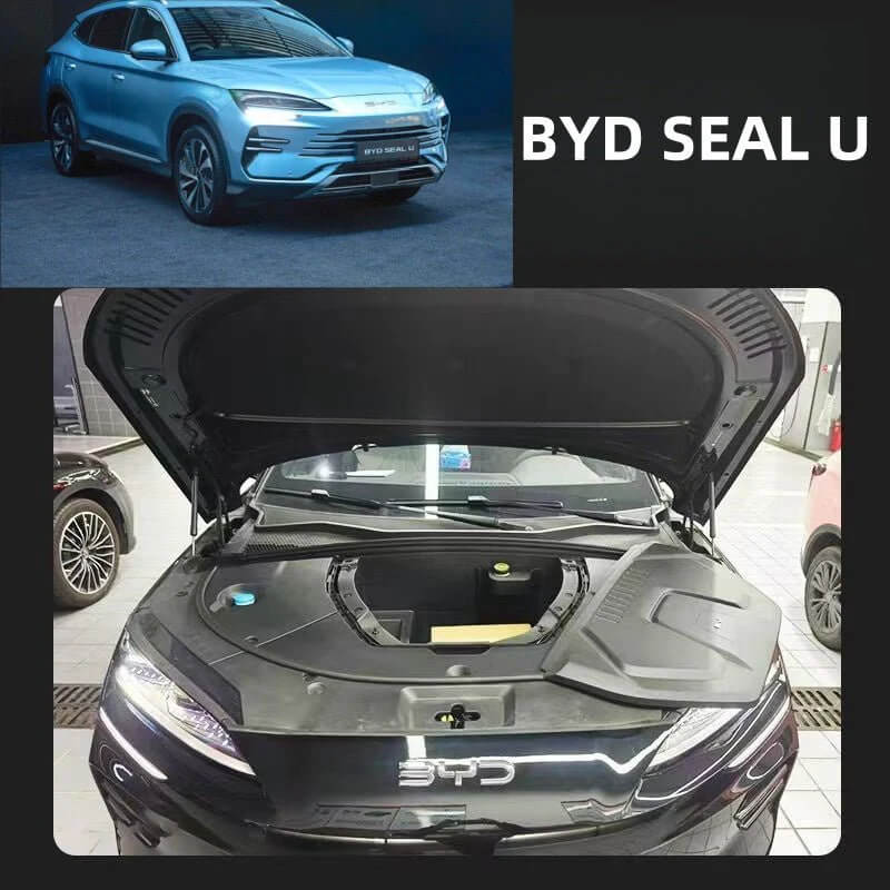 Front Storage Box for BYD Seal U