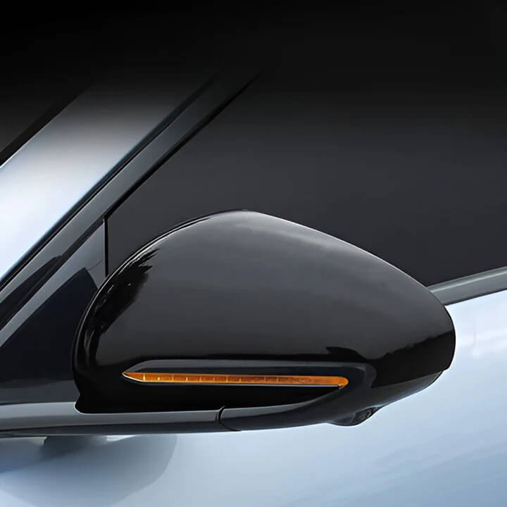 Mirror Cover for BYD Seal